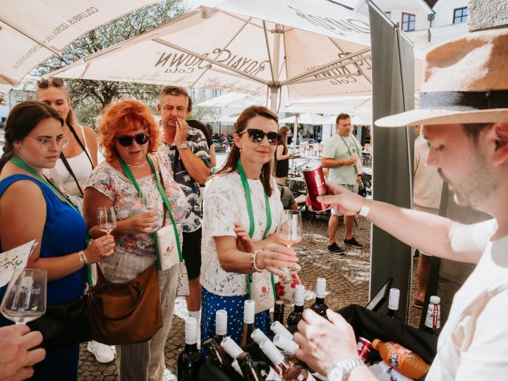 Winefest Žilina