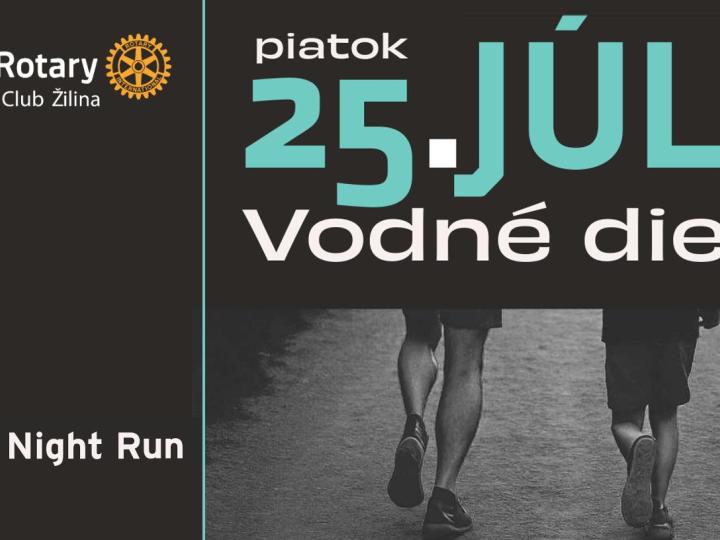 12. Rotary Night Run