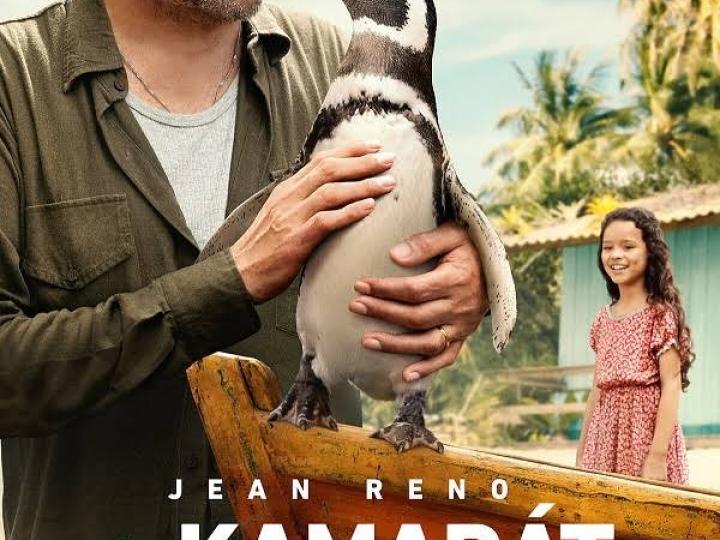 TÚLAVÉ KINO v Sade SNP: Môj kamarát tučniak