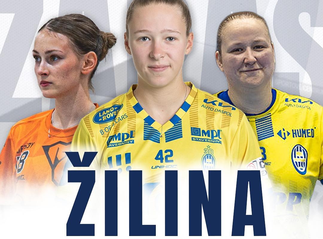 Výjazdový zápas Českej ženskej extraligy medzi tímami FBC Ostrava - Bulldogs Brno🏑