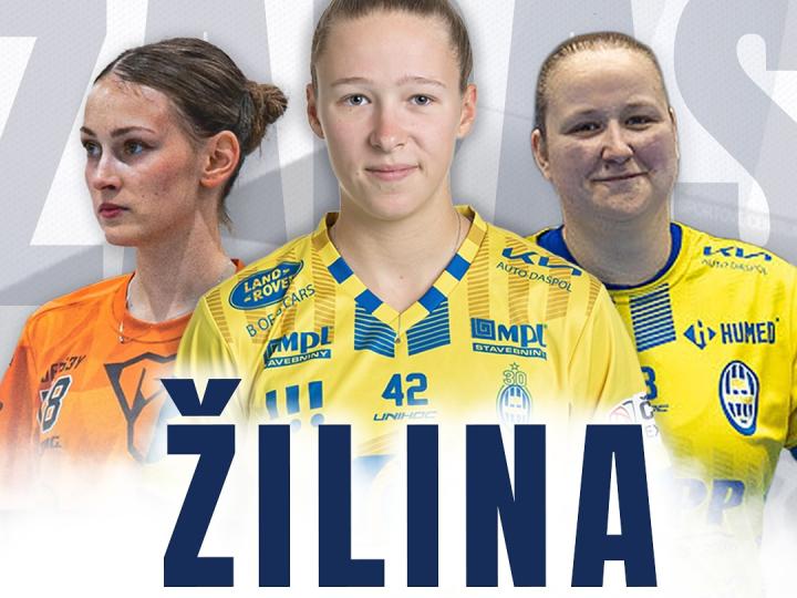 Výjazdový zápas Českej ženskej extraligy medzi tímami FBC Ostrava - Bulldogs Brno🏑