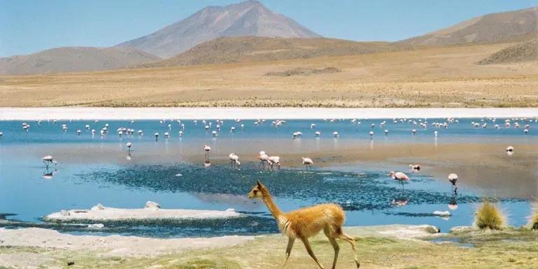 Bolívia, Peru, Ekvádor - bez cestovky s Radovanom Hankom