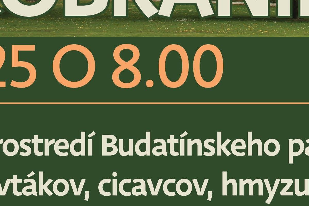 Ranné budatínske zvukobranie