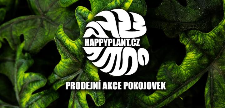 HAPPYPLANT Žilina - predaj izbových rastlín