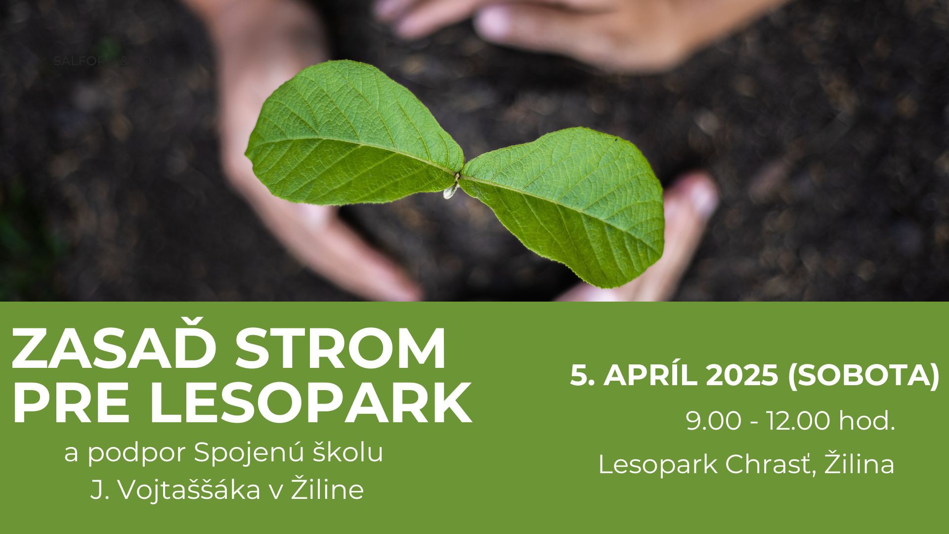 Zasaď strom pre Lesopark