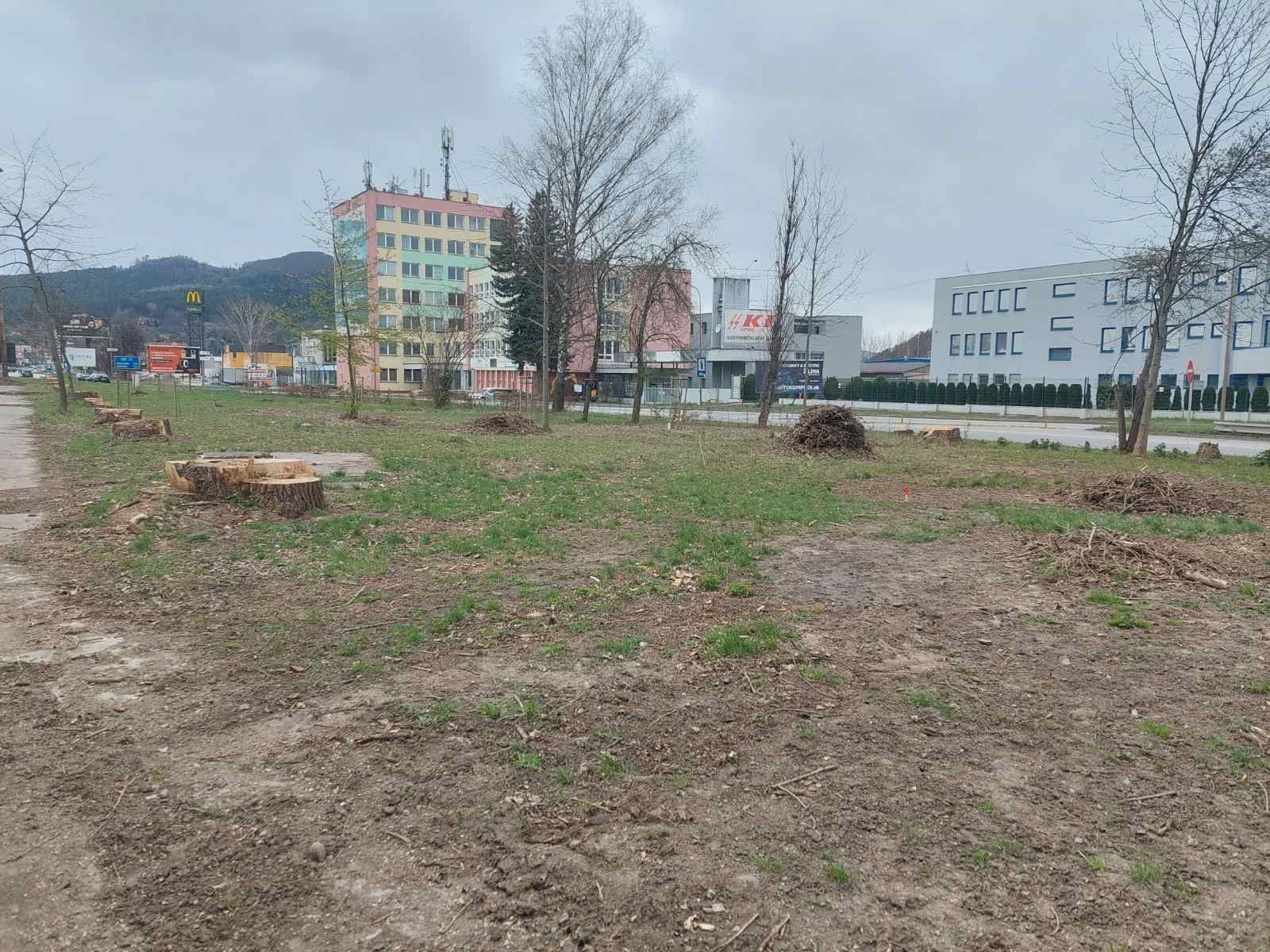 Náhradná výsadba na Frambore